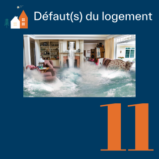 Défauts du logement