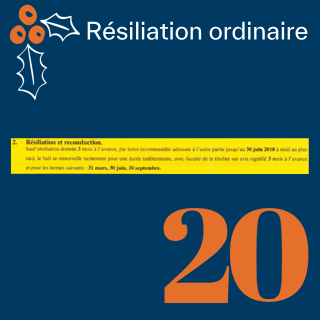 Résiliation ordinaire